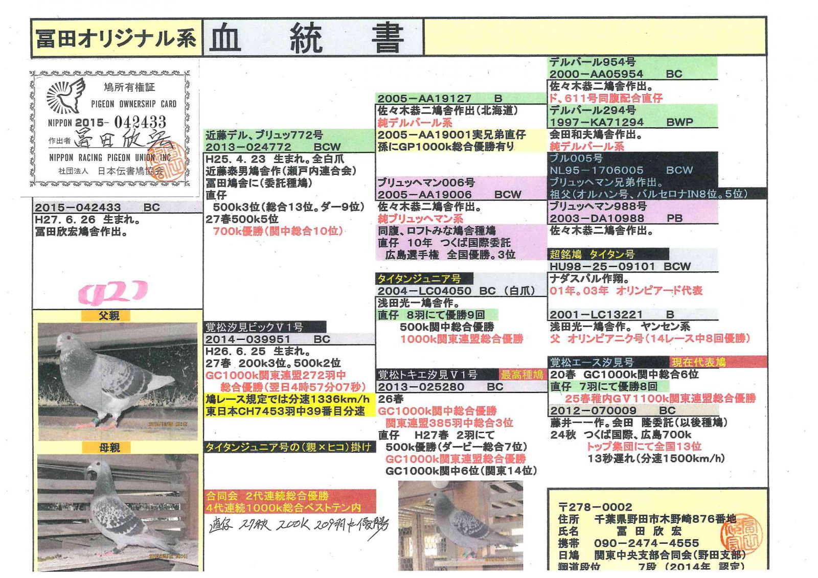 好鴿網nicepigeon 與好鴿的距離更近了